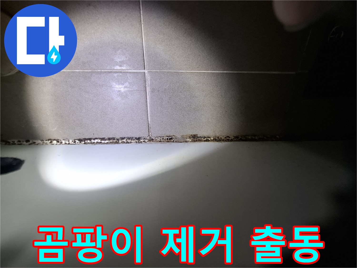 욕조 실리콘 곰팡이 - 긴급 곰팡이 제거 출동 서비스