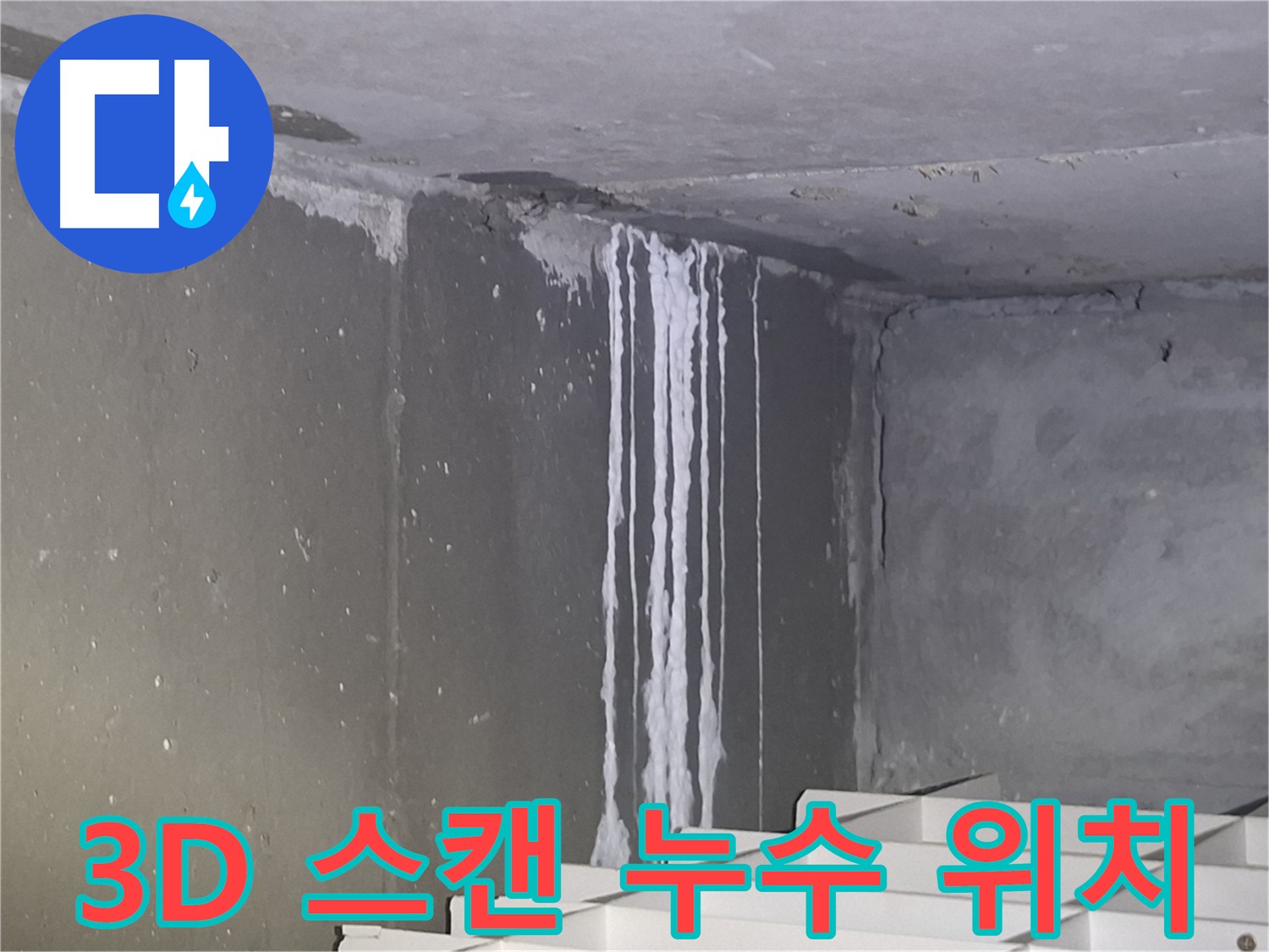 분당구 삼평동 누수 - 3D 스캔으로 정확한 누수 위치 파악