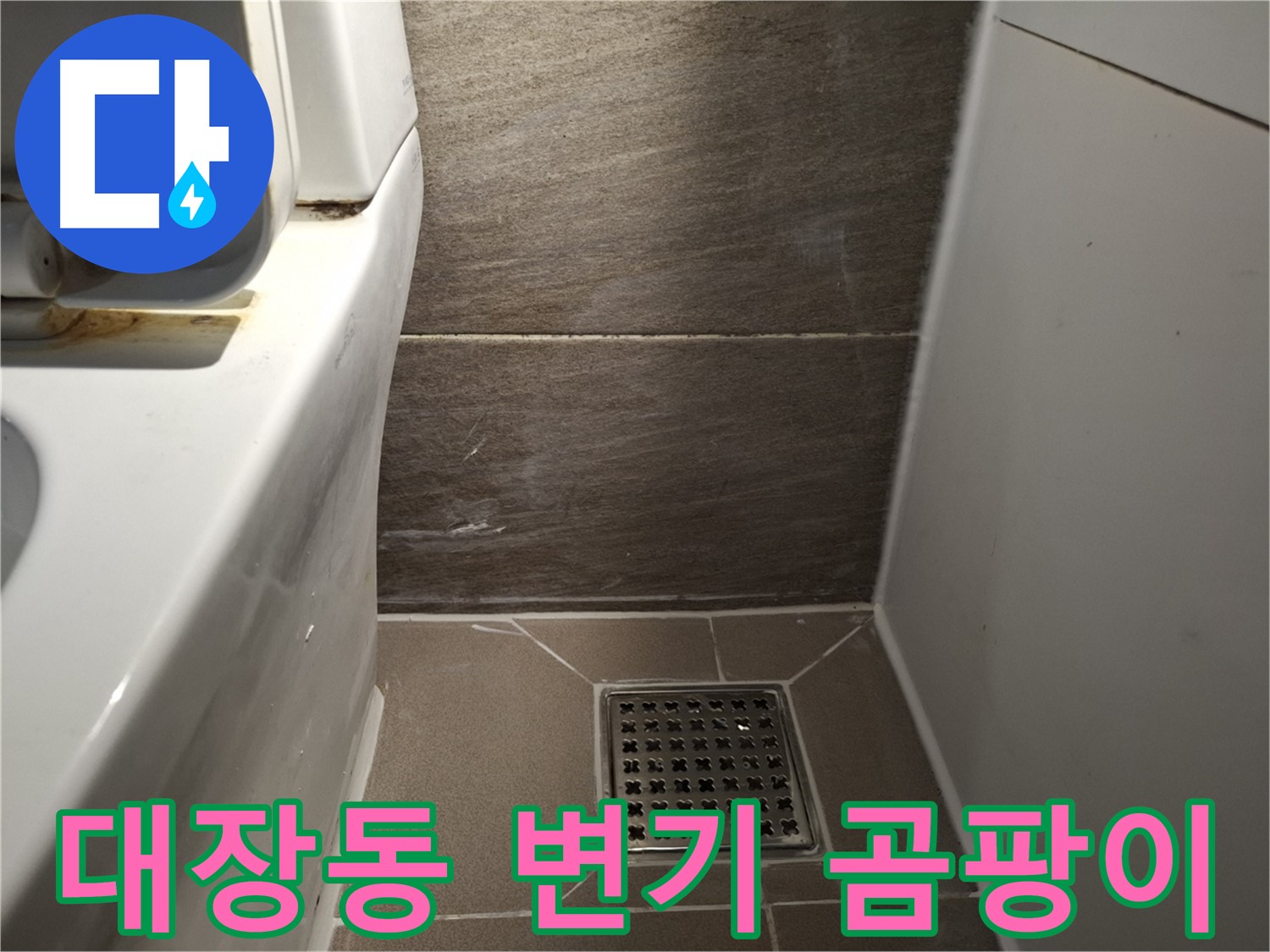 판교 대장동 변기 주변 곰팡이 - 습기 문제 의심