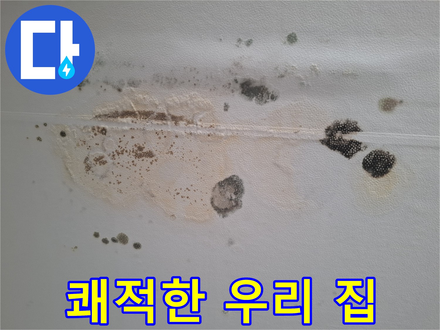 판교 봇들마을 누수 - 곰팡이 천장 제거 후 쾌적한 우리 집 만들기