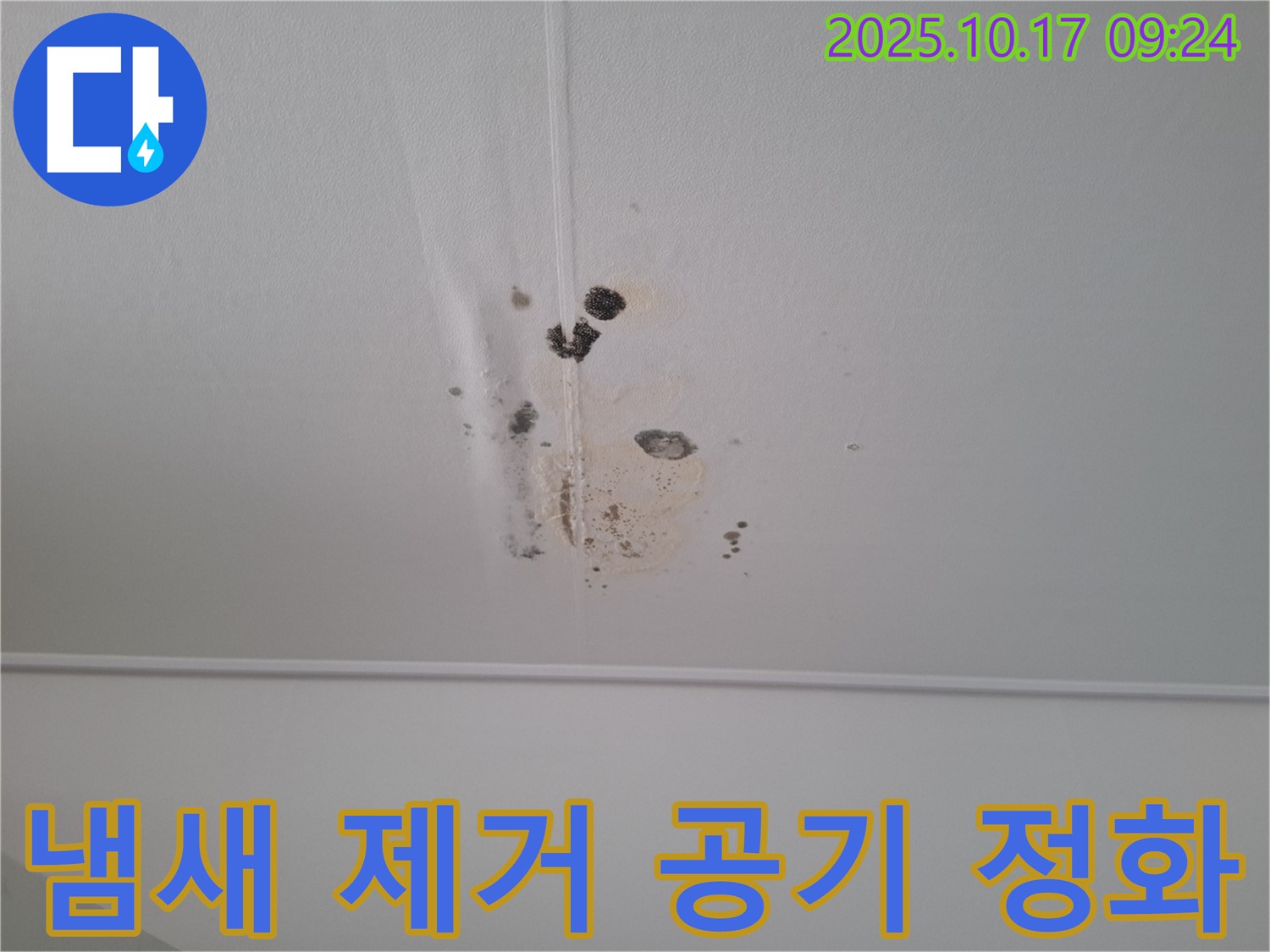 판교 봇들마을 아파트 천장 누수 - 곰팡이 제거 후 냄새 제거 및 공기 정화 시공