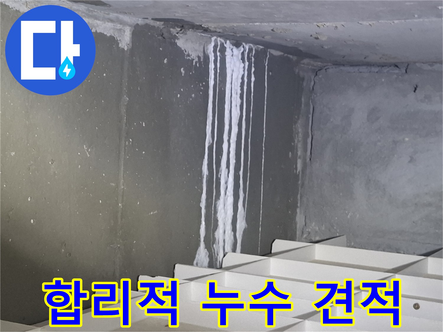 판교 봇들마을2단지 누수 - 합리적인 견적으로 누수 해결!