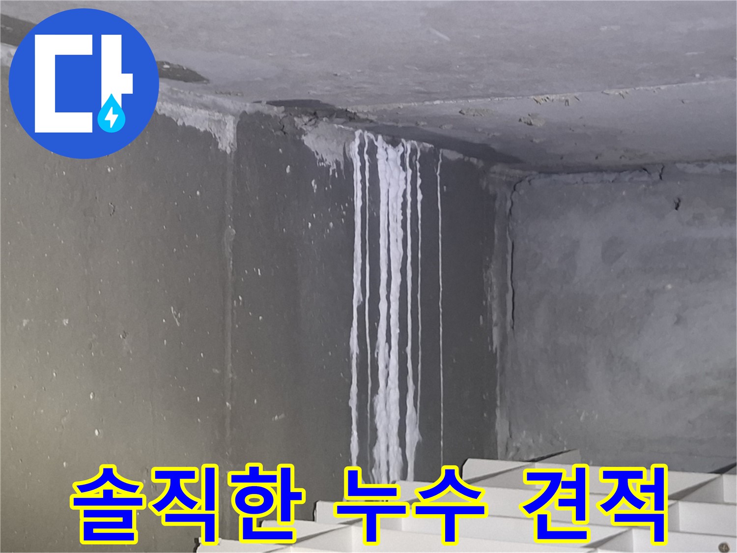 판교 삼평동 건물 벽 누수 - 솔직한 누수 견적 제공