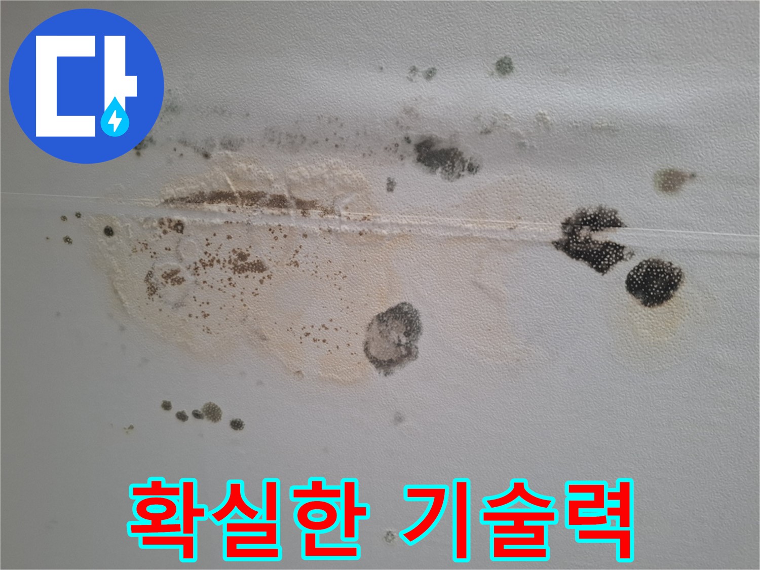판교 삼평동 누수 - 곰팡이 핀 천장, 확실한 기술력으로 곰팡이 문제 해결