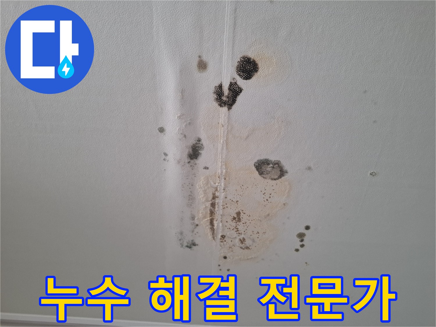 판교 삼평동 봇들마을 누수 - 누수 문제 해결 전문가
