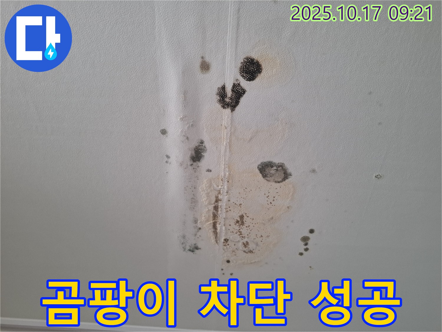 판교 삼평동 봇들마을 아파트 누수 - 곰팡이 완전 차단 - 2단지 쾌적한 보금자리