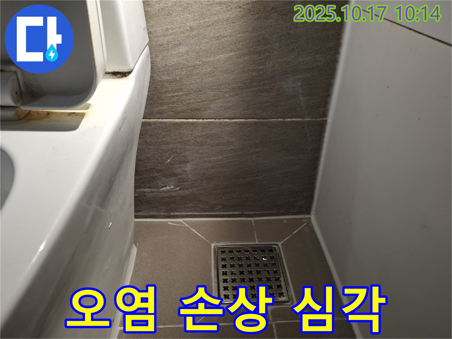 화장실 배수구 주변 타일 틈새 백시멘트 오염 및 손상 심각 - 누수 공사 필요