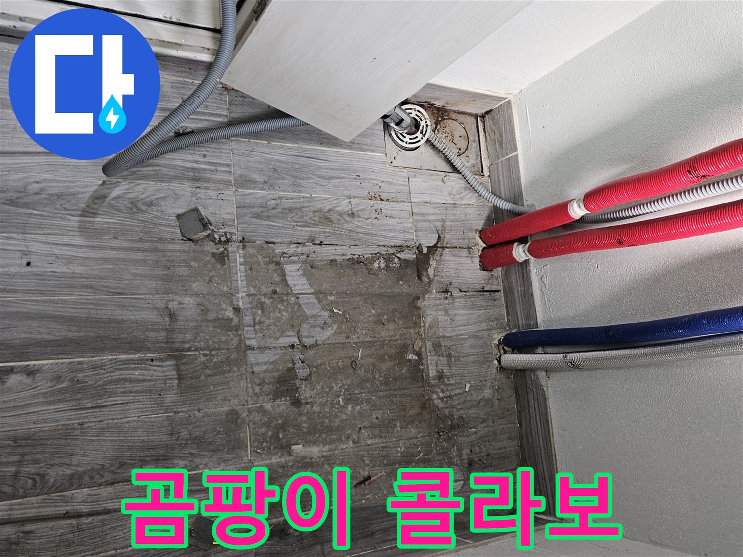 강동구 천호동 세탁실 누수 - 곰팡이와 물때의 콜라보