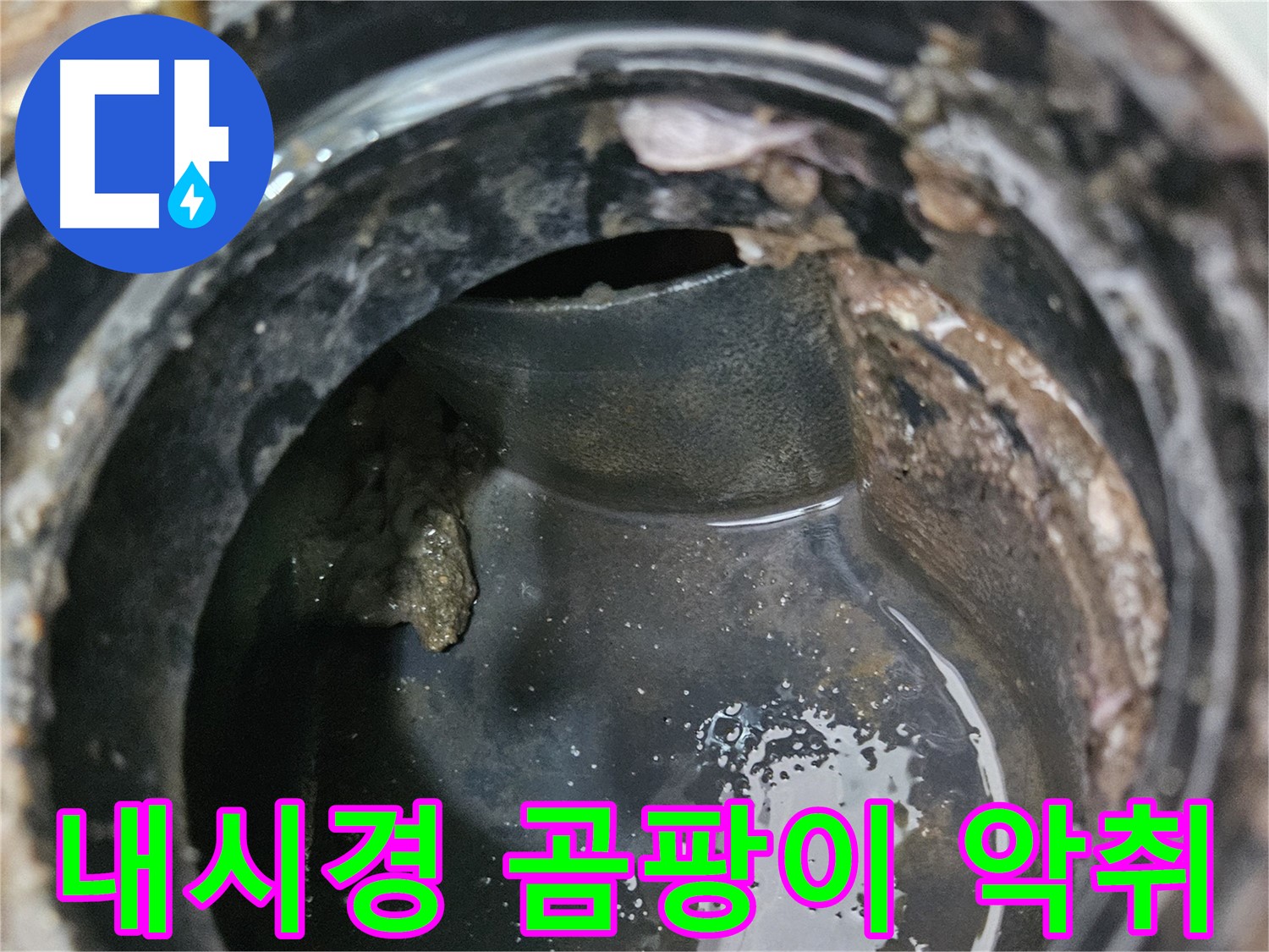 배관 내시경 - 곰팡이 때문에 악취까지