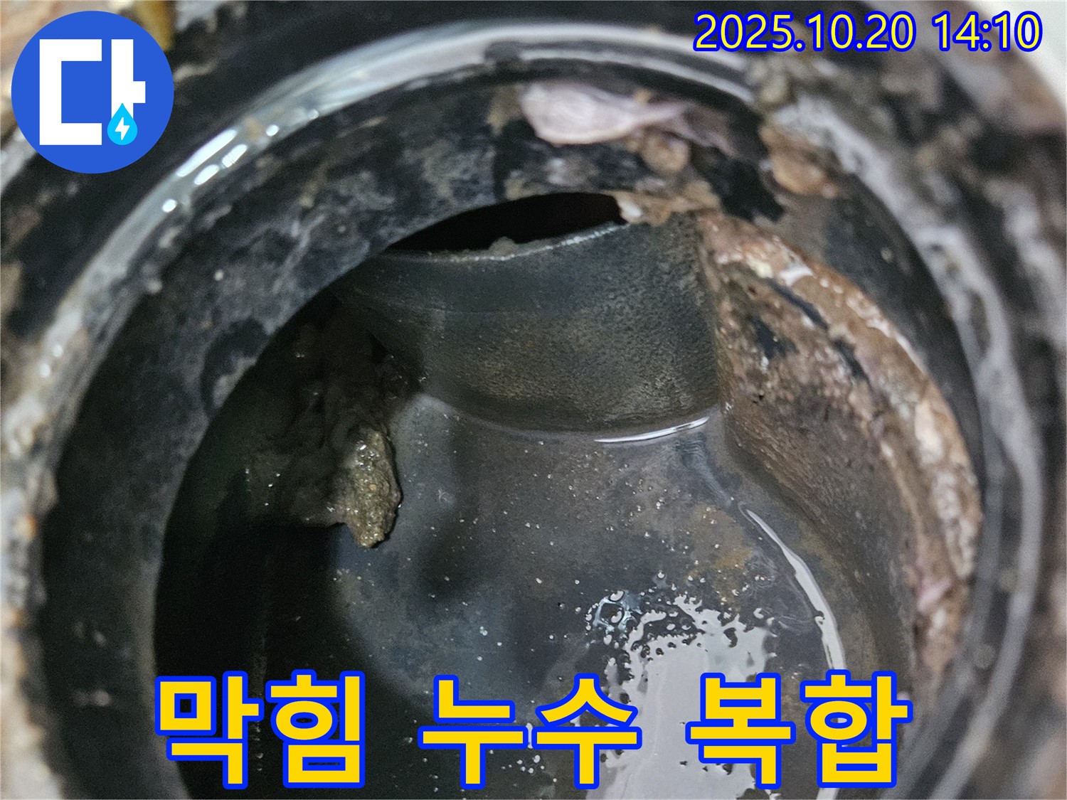 배수구 막힘과 누수 - 복합적인 문제 해결 과정
