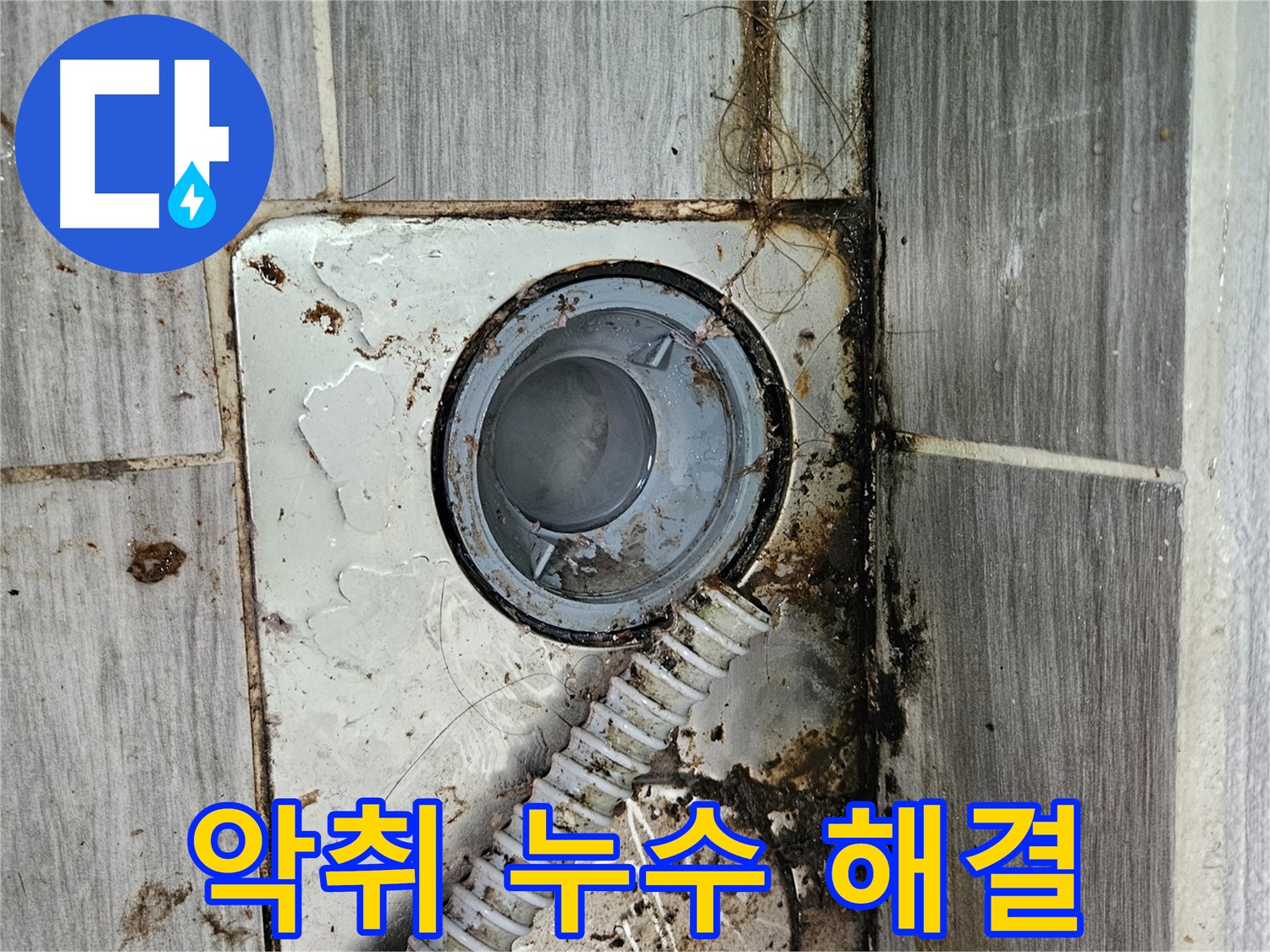 악취와 누수 동시 해결 - 쾌적한 욕실 환경 조성