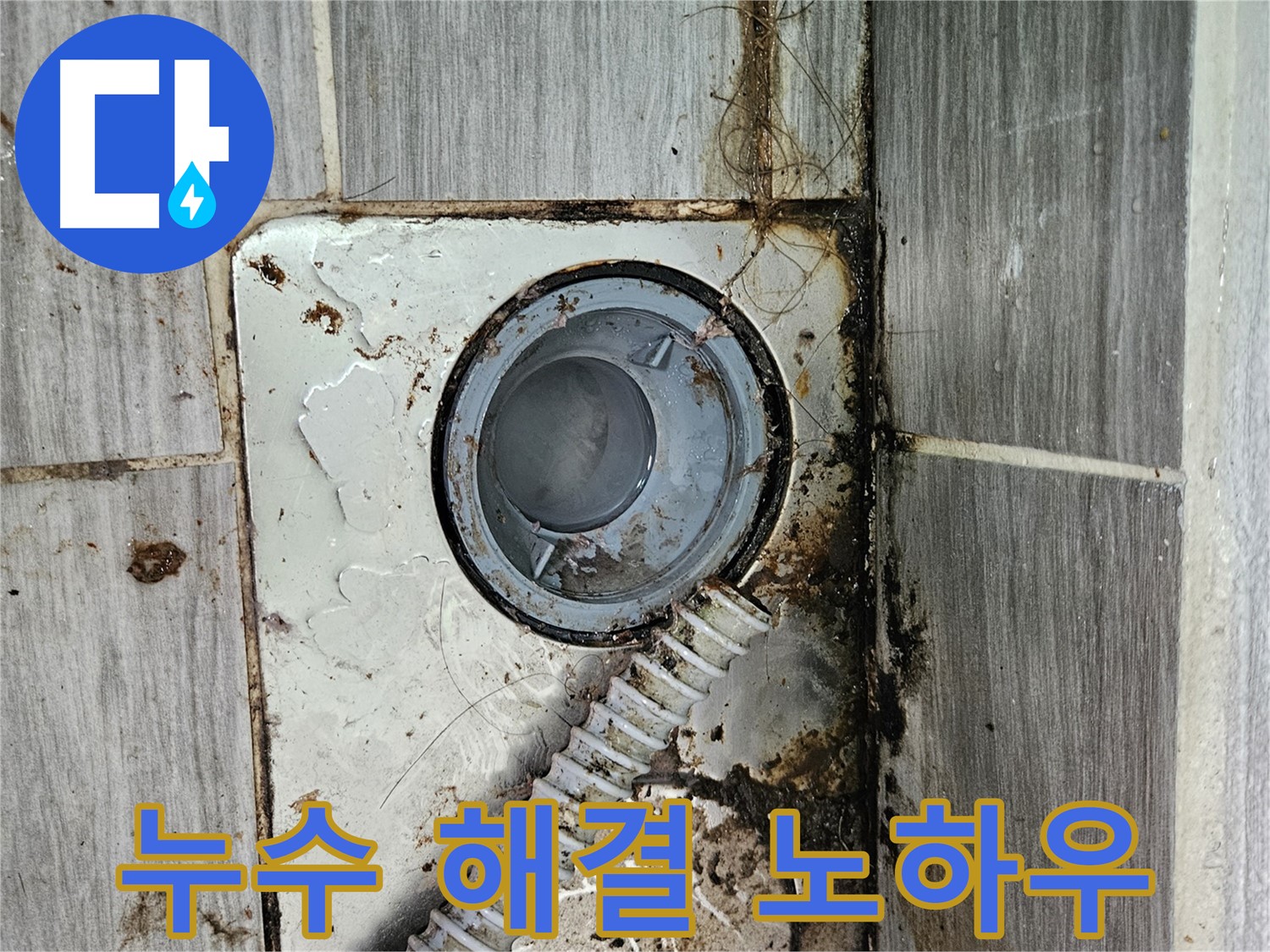 욕실 하수구 누수 해결 - 완벽 해결 노하우 공개
