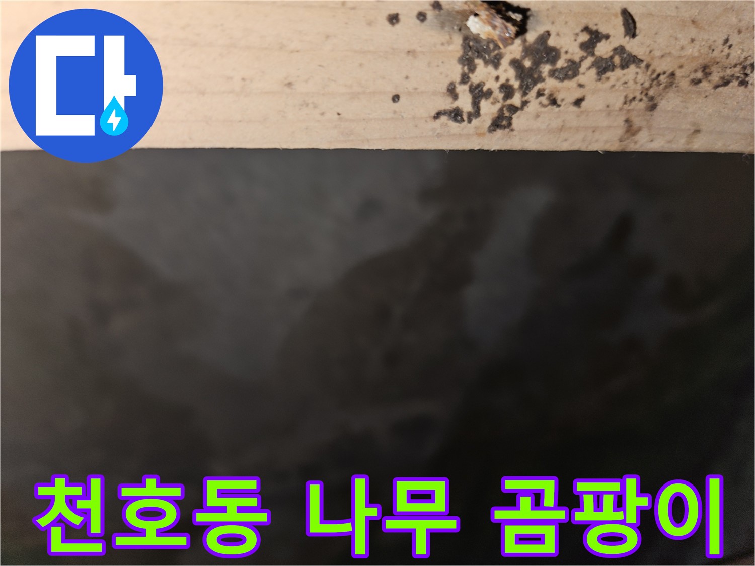 천호2동 573 누수 - 나무 윗면 검은 얼룩 - 곰팡이