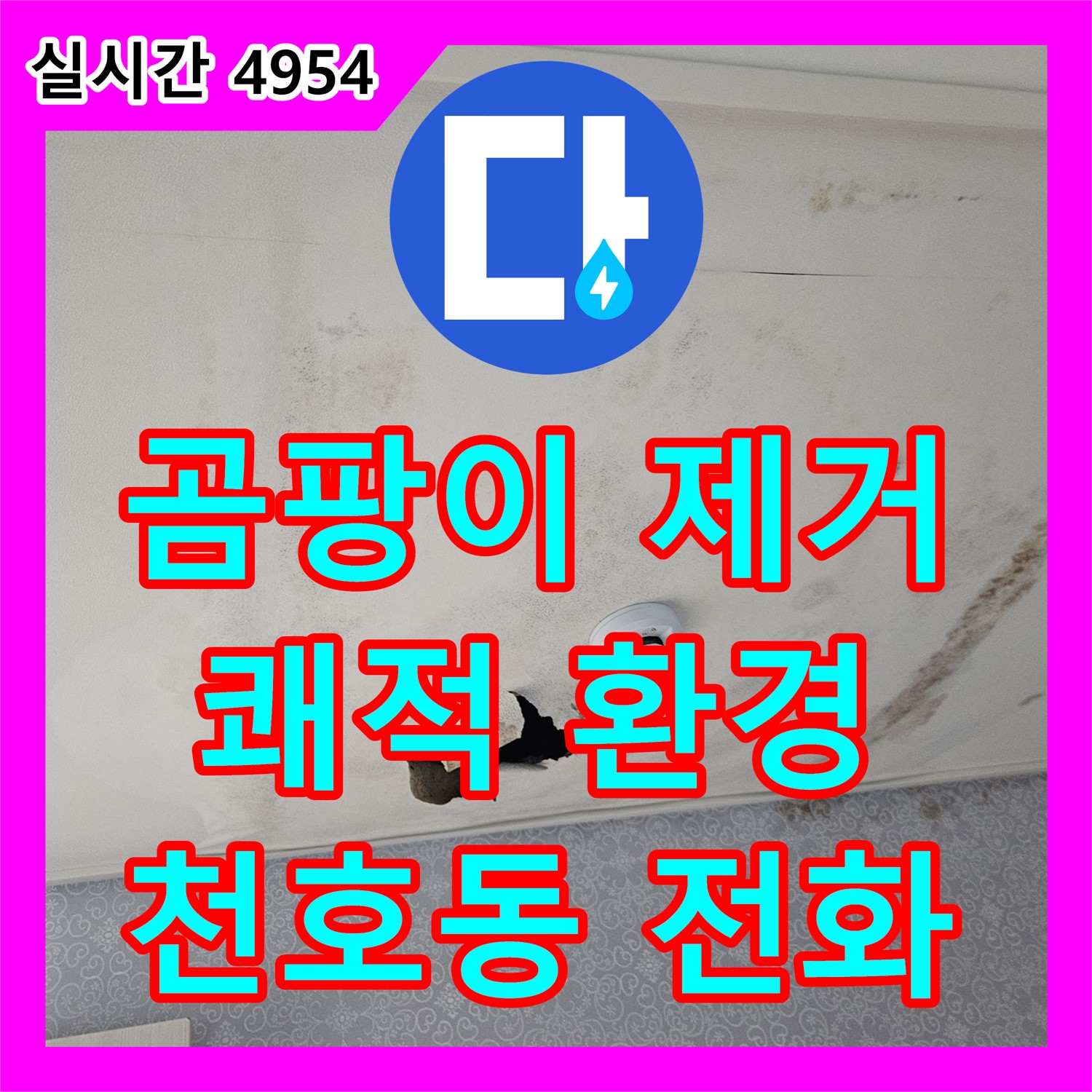 천호동 누수전화번호, 곰팡이 발생, 누수 해결과 곰팡이 제거 한번에