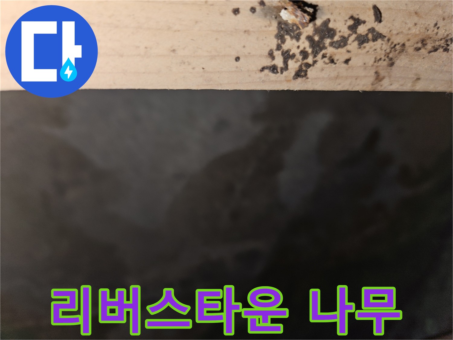 천호동 리버스타운 누수 - 나무 갈라진 곳 곰팡이 - 의심