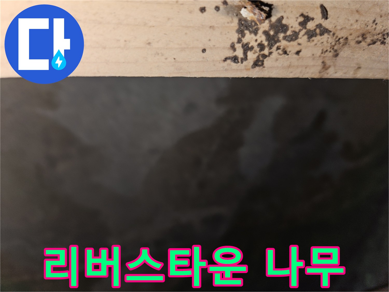 천호동 리버스타운 누수 - 나무 윗면 점검 - 첨단