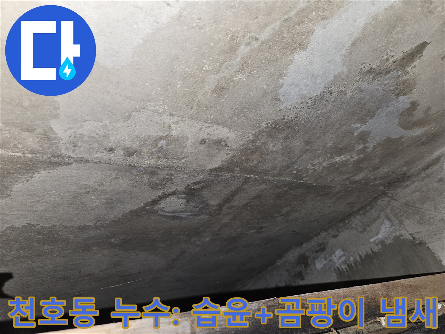 천호동 리버스타운 아파트 누수 - 습윤과 곰팡이 냄새는 심각한 누수