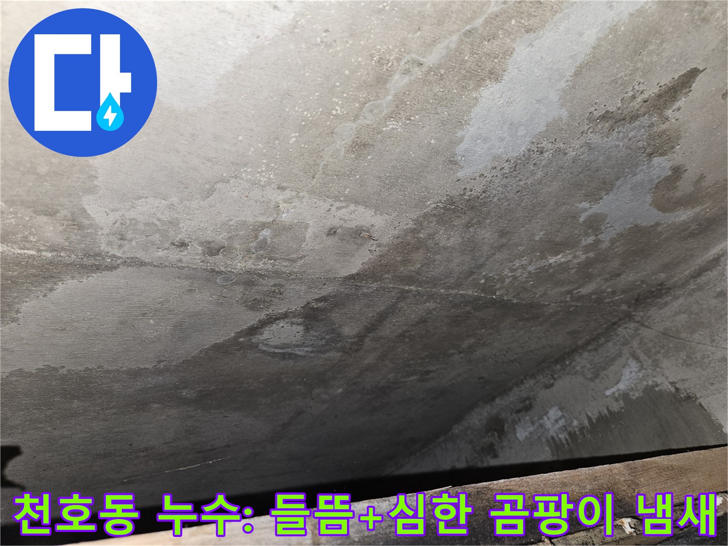 천호동 아파트 누수 - 들뜸 현상 주변 심한 곰팡이 냄새는 심각한 오염