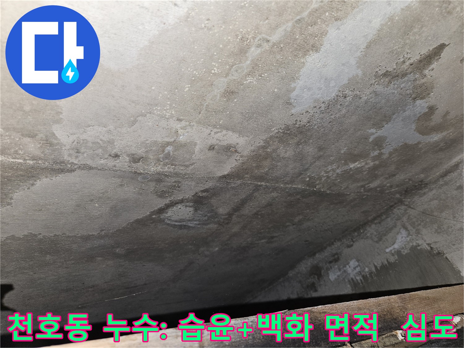 천호동 아파트 콘크리트 누수 - 습윤, 백화 면적/심도는 구조적 문제