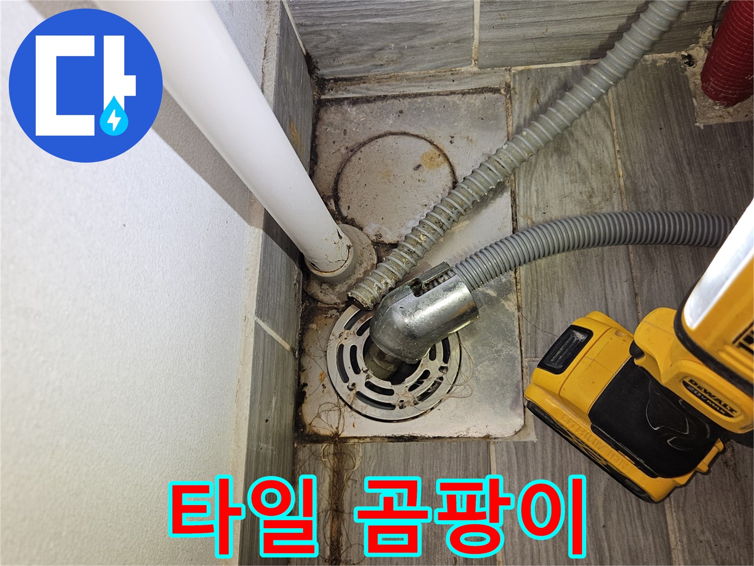 하수구 주변 타일 곰팡이 - 청소 필요