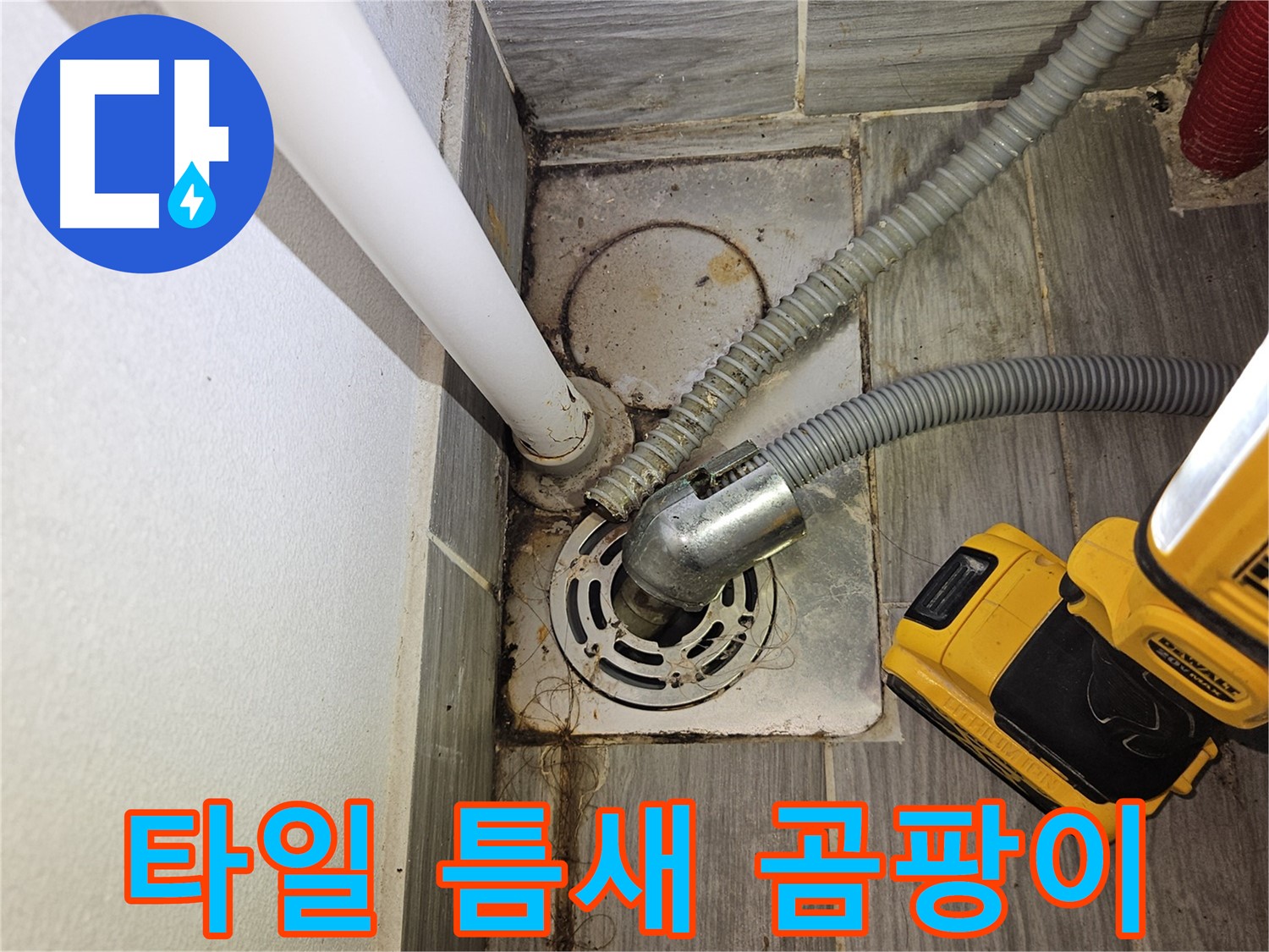 하수구 주변 타일 틈새 곰팡이 - 건강 위협