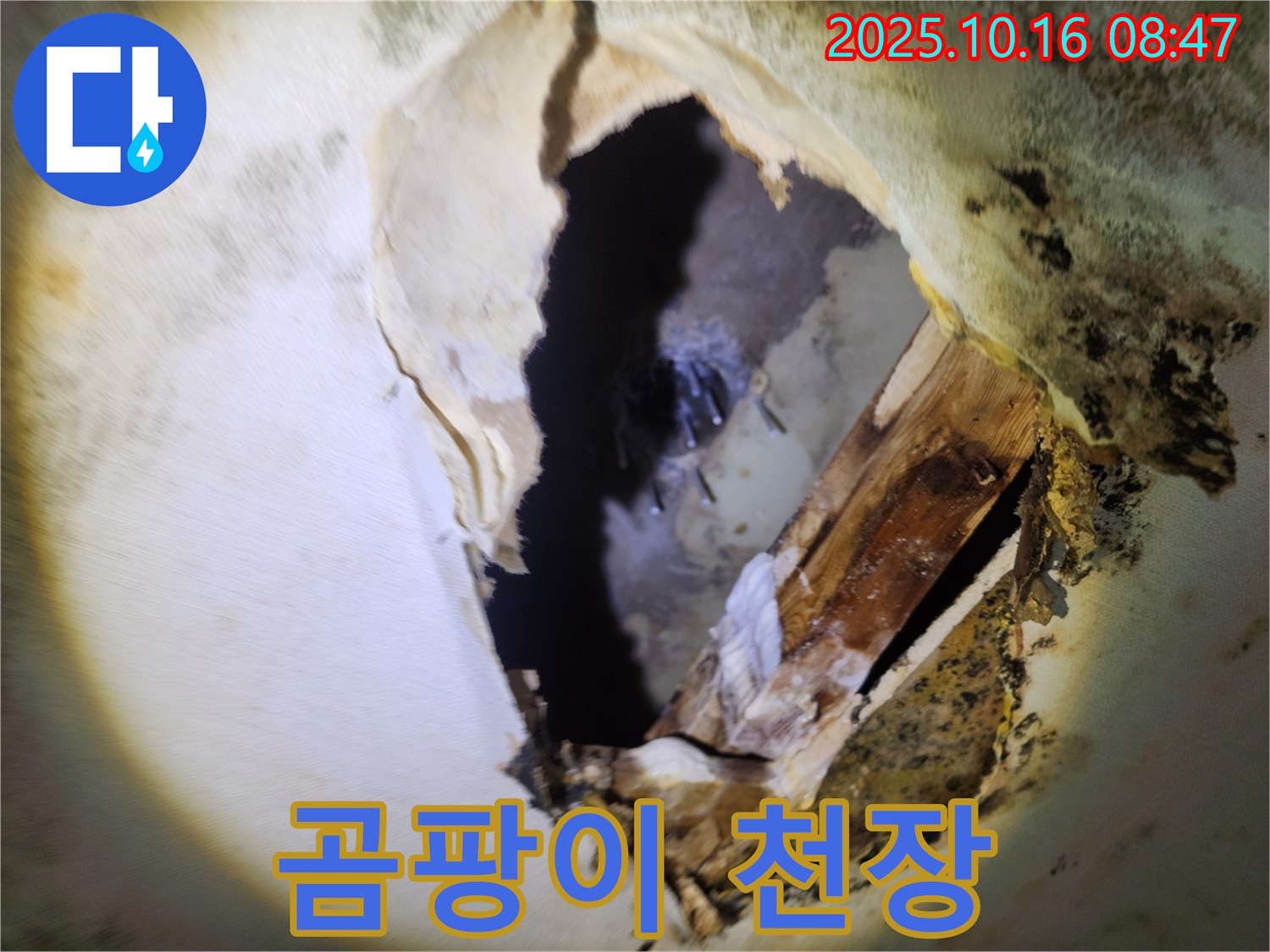양주 누수 - 곰팡이 냄새와 내려앉은 천장 - 복합적인 누수 문제 발생, 전문적인 해결 필요