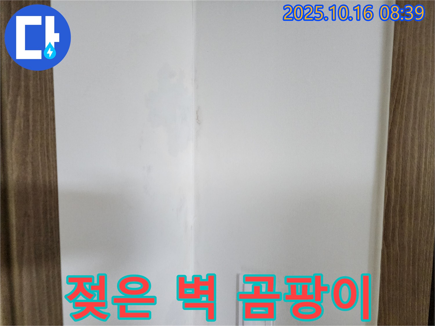 양주 주택 젖은 벽 - 곰팡이와 영원히 안녕, 쾌적한 보금자리, 누수 해결