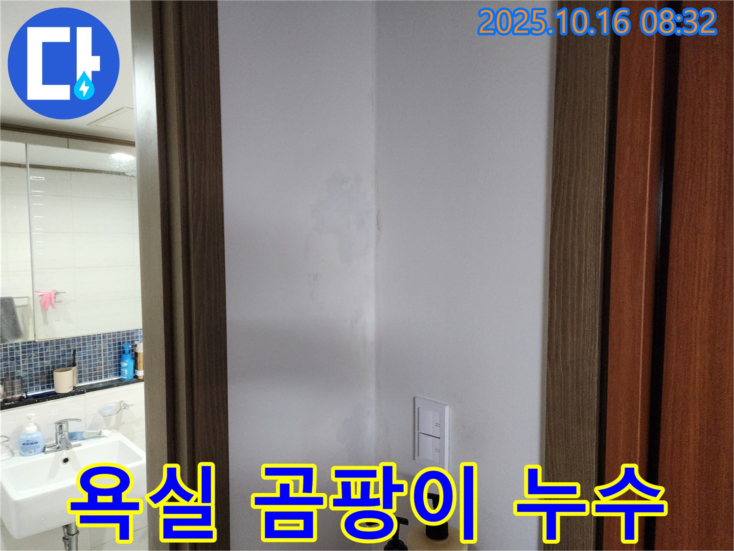 양주시 남면 경신리 욕실 곰팡이 - 숨겨진 누수 의심
