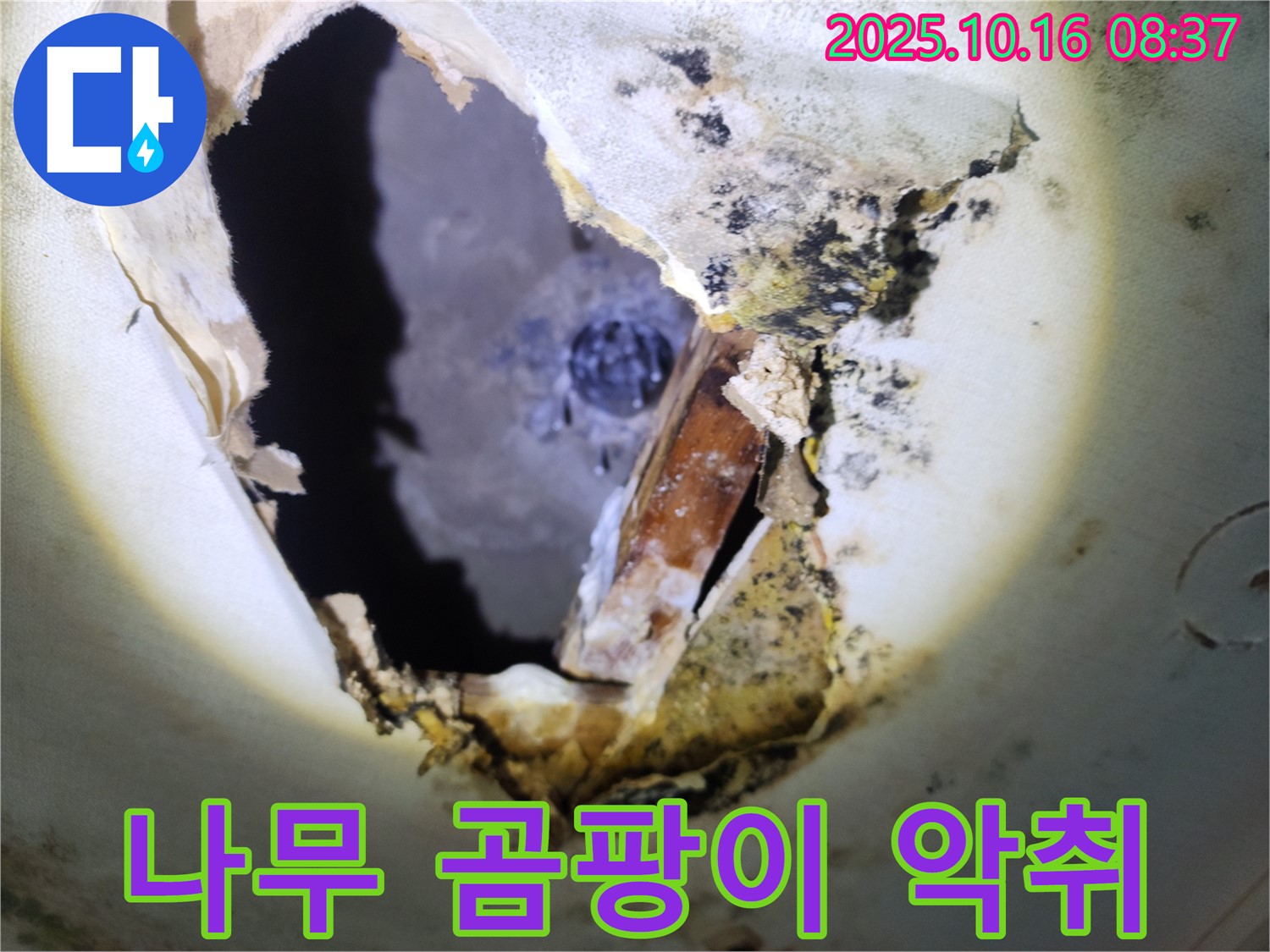 양주시 남면 경신리 주택 천장 - 나무 곰팡이로 인한 악취 발생 - 쾌적한 환경을 위해 누수 해결이 필요합니다.