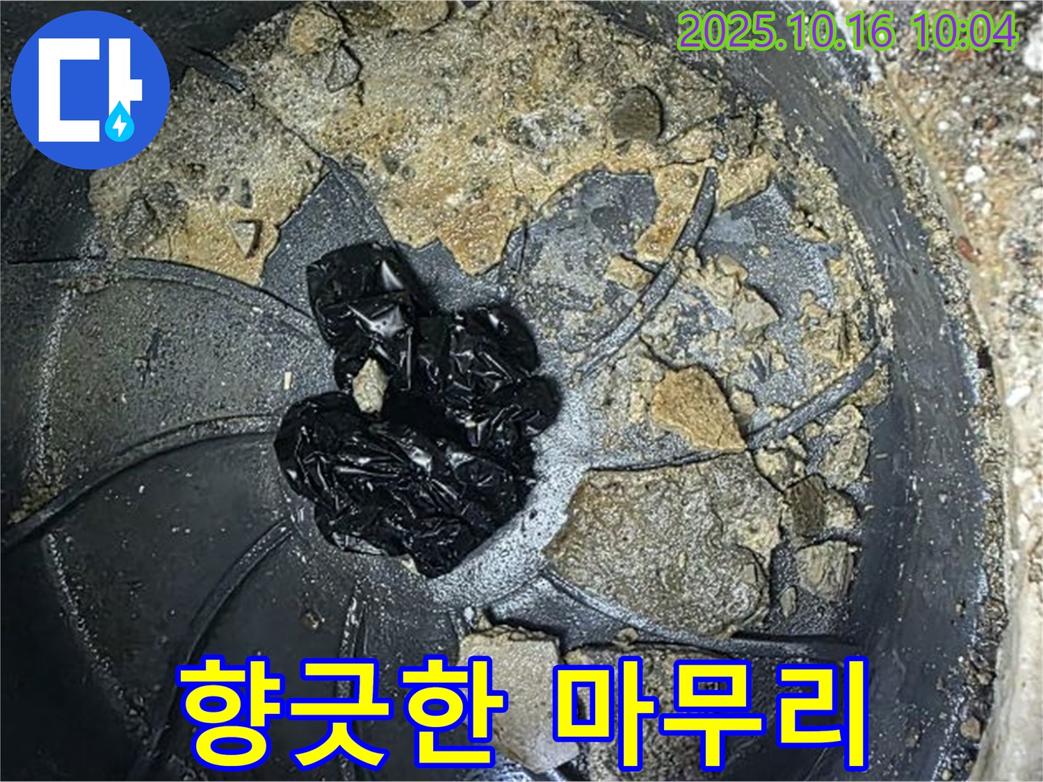 양주 옥정 율정마을 아파트 누수 - 배수구 악취 제거 - 향긋한 마무리