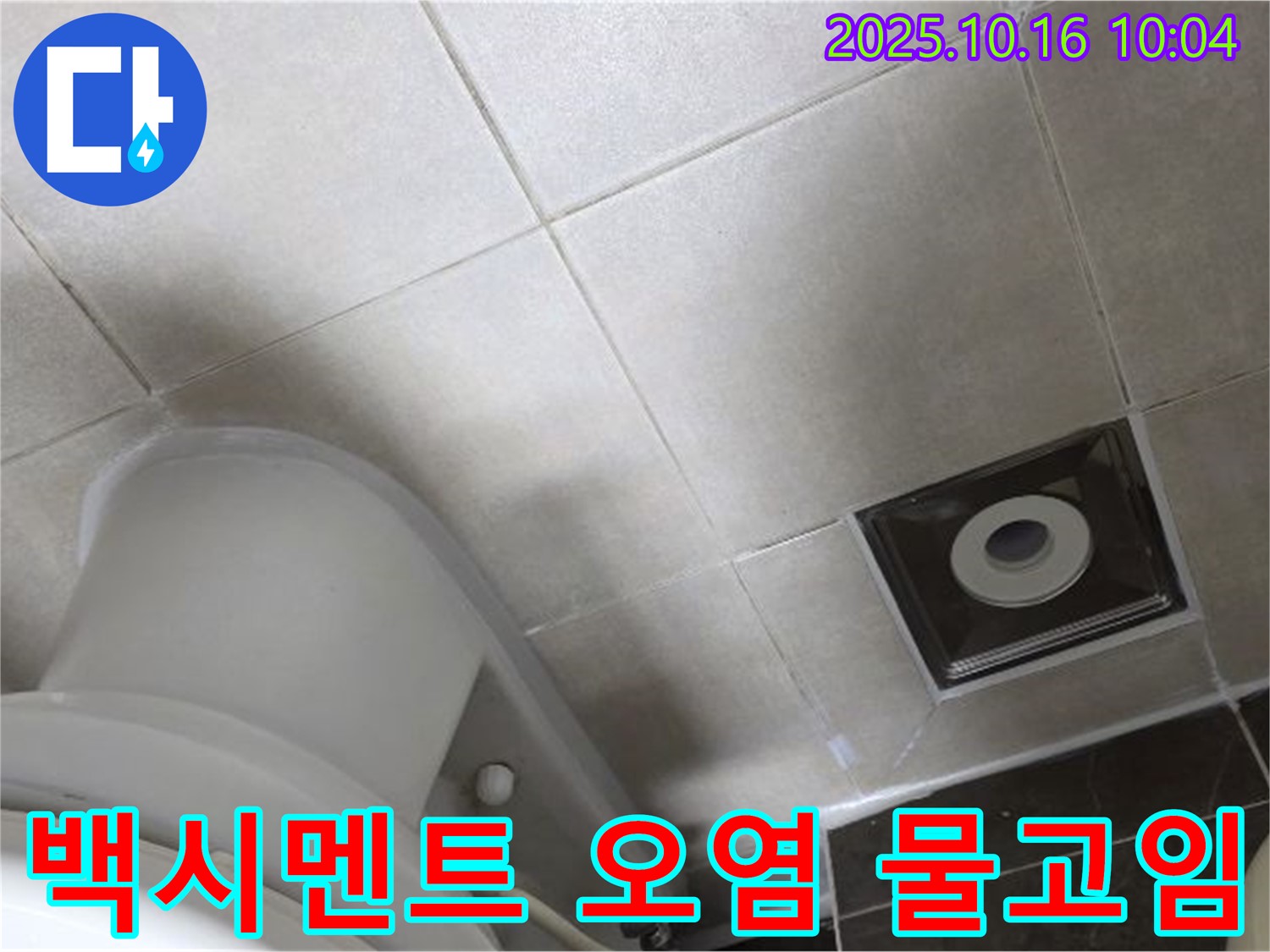 옥정동 율정마을 화장실 누수 - 변기 주변 타일 틈새 백시멘트 오염 및 미세 물고임으로 누수 의심