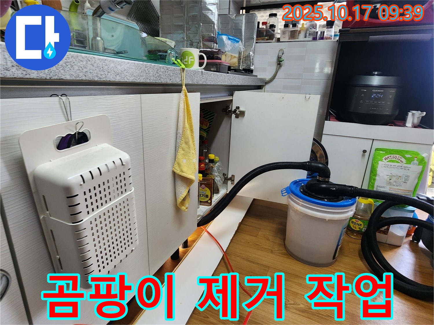 양주시 남면 한산리 오래된 주택 싱크대 밑 곰팡이 제거 작업 - 꼼꼼하게 곰팡이를 제거하고 소독하는 모습입니다.