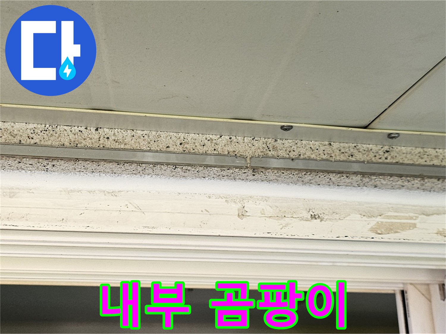 석고보드 내부 곰팡이 - 석고보드 내부에 곰팡이가 심하게 번식한 모습입니다 - 건강에 매우 해롭습니다.
