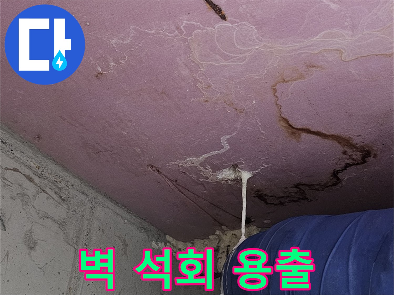 신월동 양천구 누수 - 벽에 하얀 결정, 석회 용출