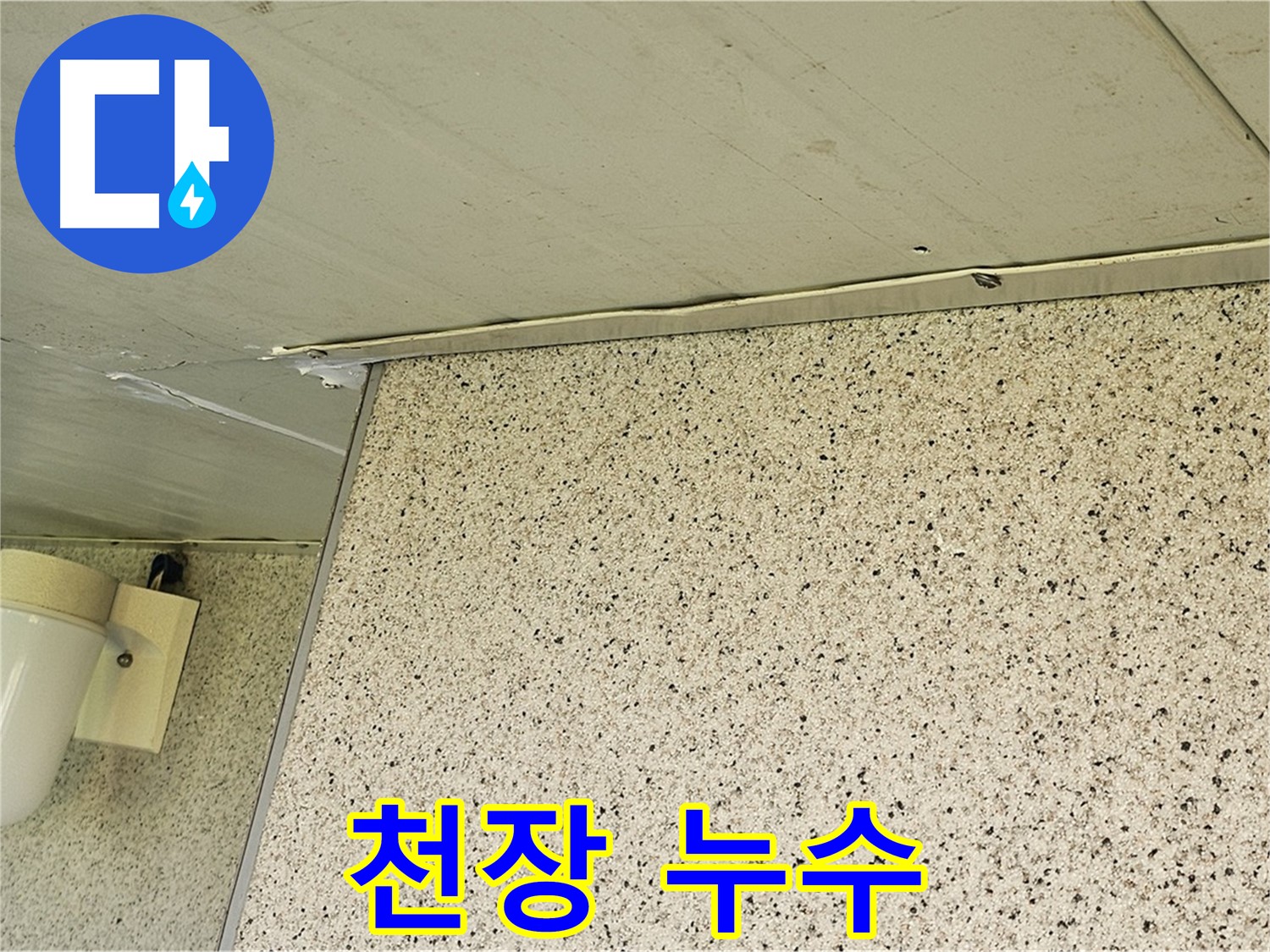 신월동 엘리시안 A동 천장 누수 - 양천구 누수탐지 전문 업체의 신속한 방문