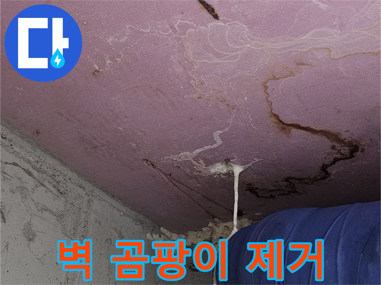 양천구 신월동 누수 - 벽 곰팡이 점 - 곰팡이 제거 및 항균 시공