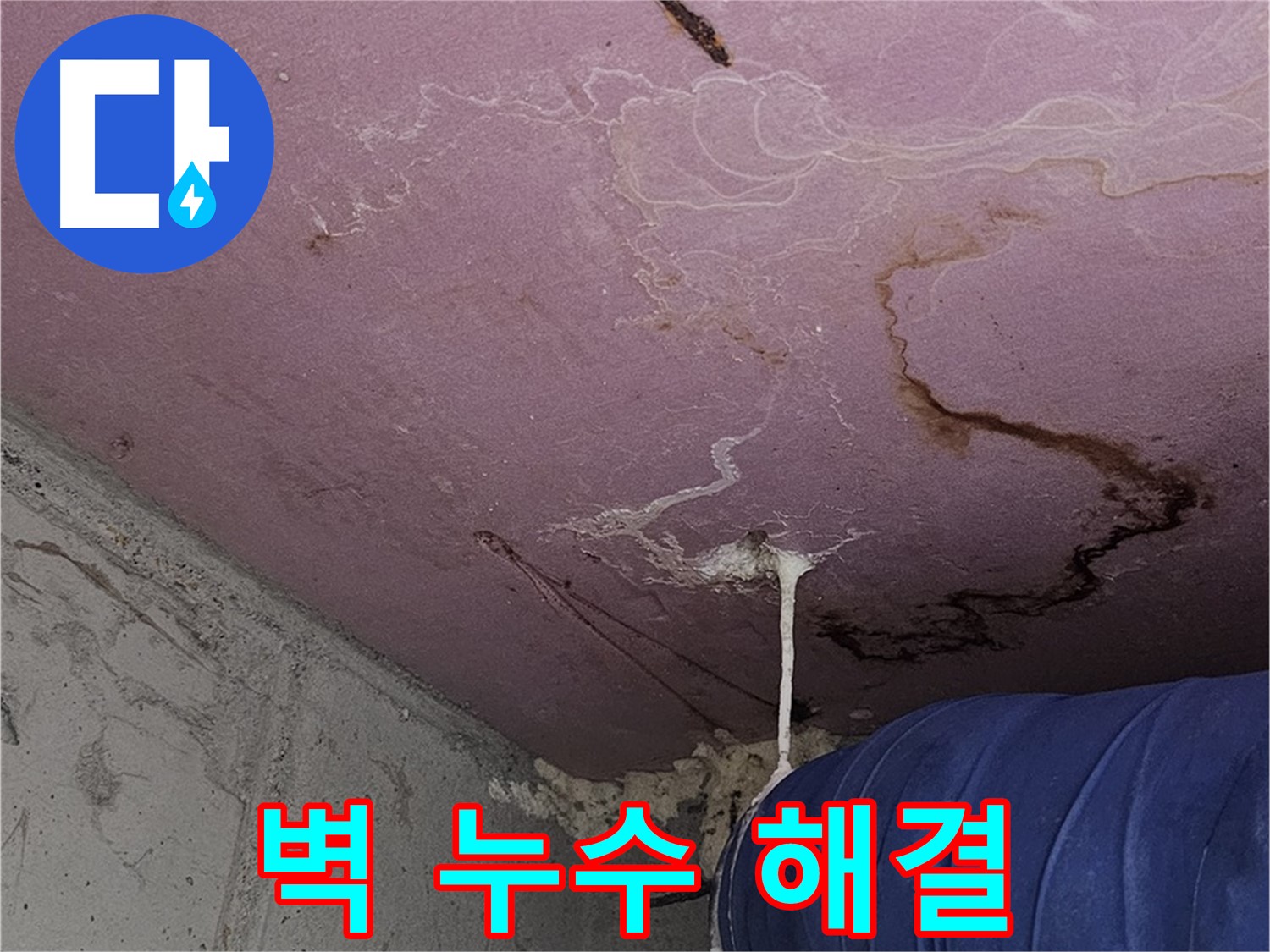양천구 신월동 누수 - 벽 누수 해결, 쾌적한 공간