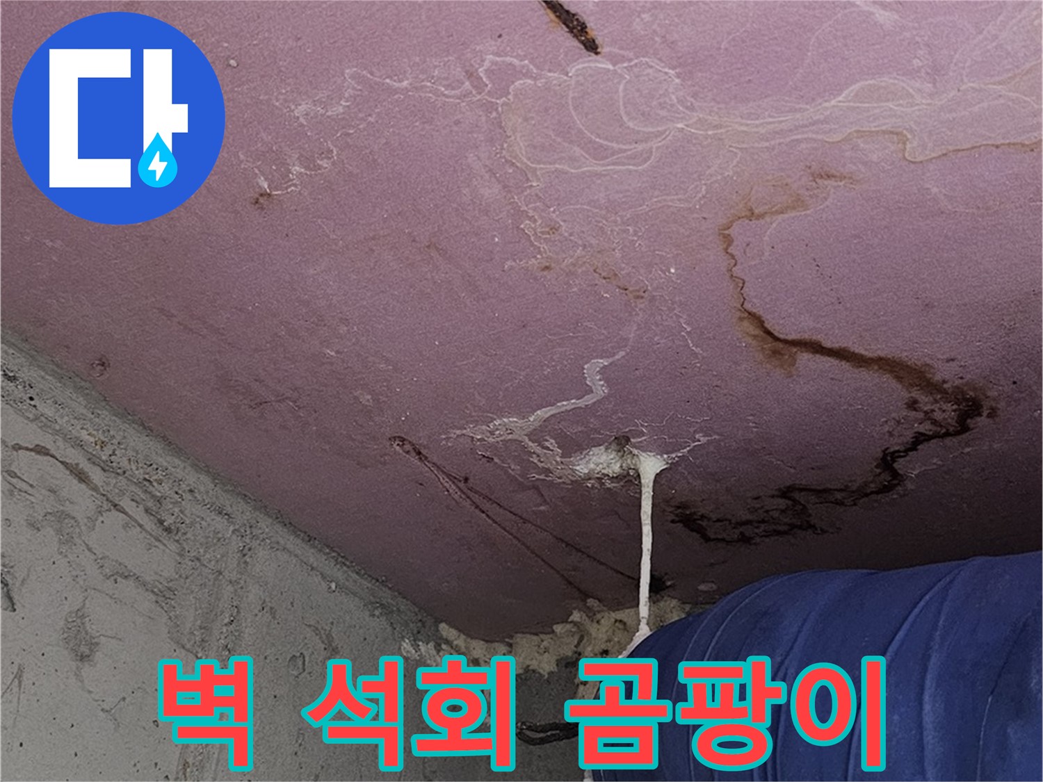 양천구 신월동 누수 - 벽 석회수 - 곰팡이 제거