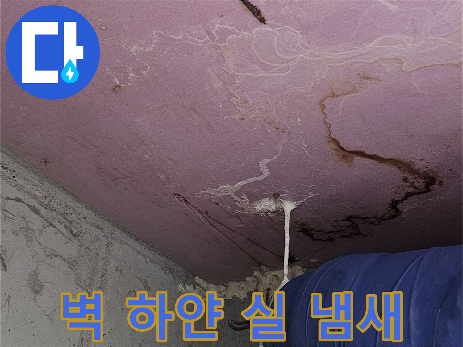 양천구 신월동 누수 - 벽 하얀 실 - 곰팡이 냄새 제거