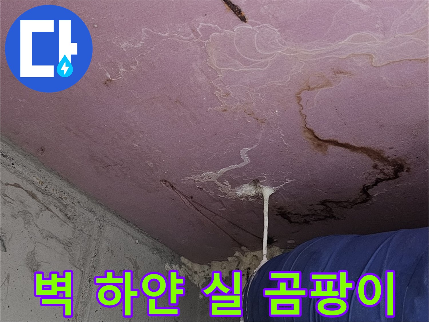 양천구 신월동 누수 - 벽 하얀 실 - 곰팡이 발생 촉진