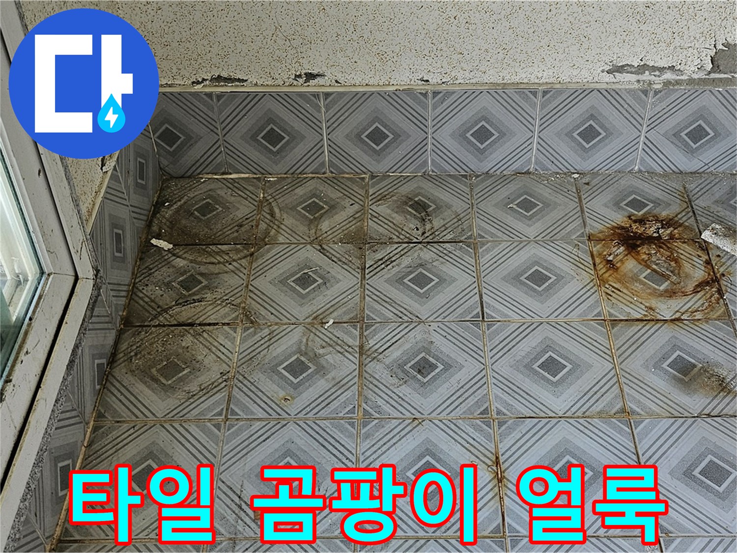 양천구 신월동 누수 - 타일 위 곰팡이 얼룩 완벽 제거 시공