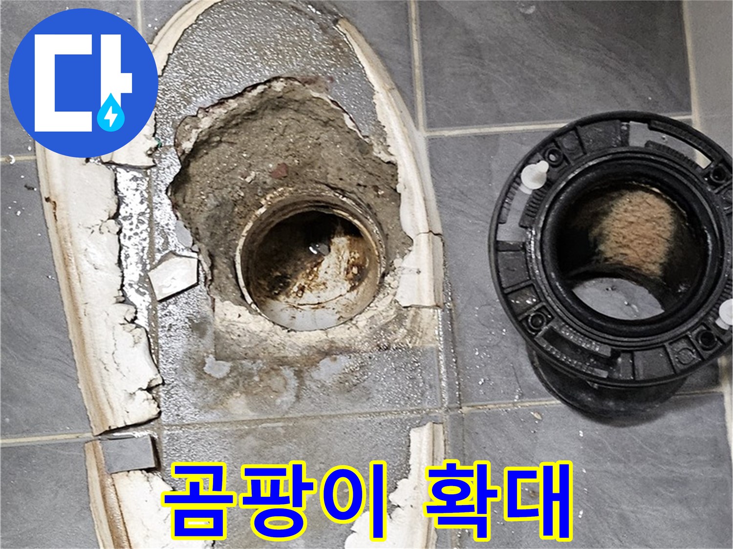 양천구 신월동 변기 누수 - 하수구 주변 곰팡이 확대