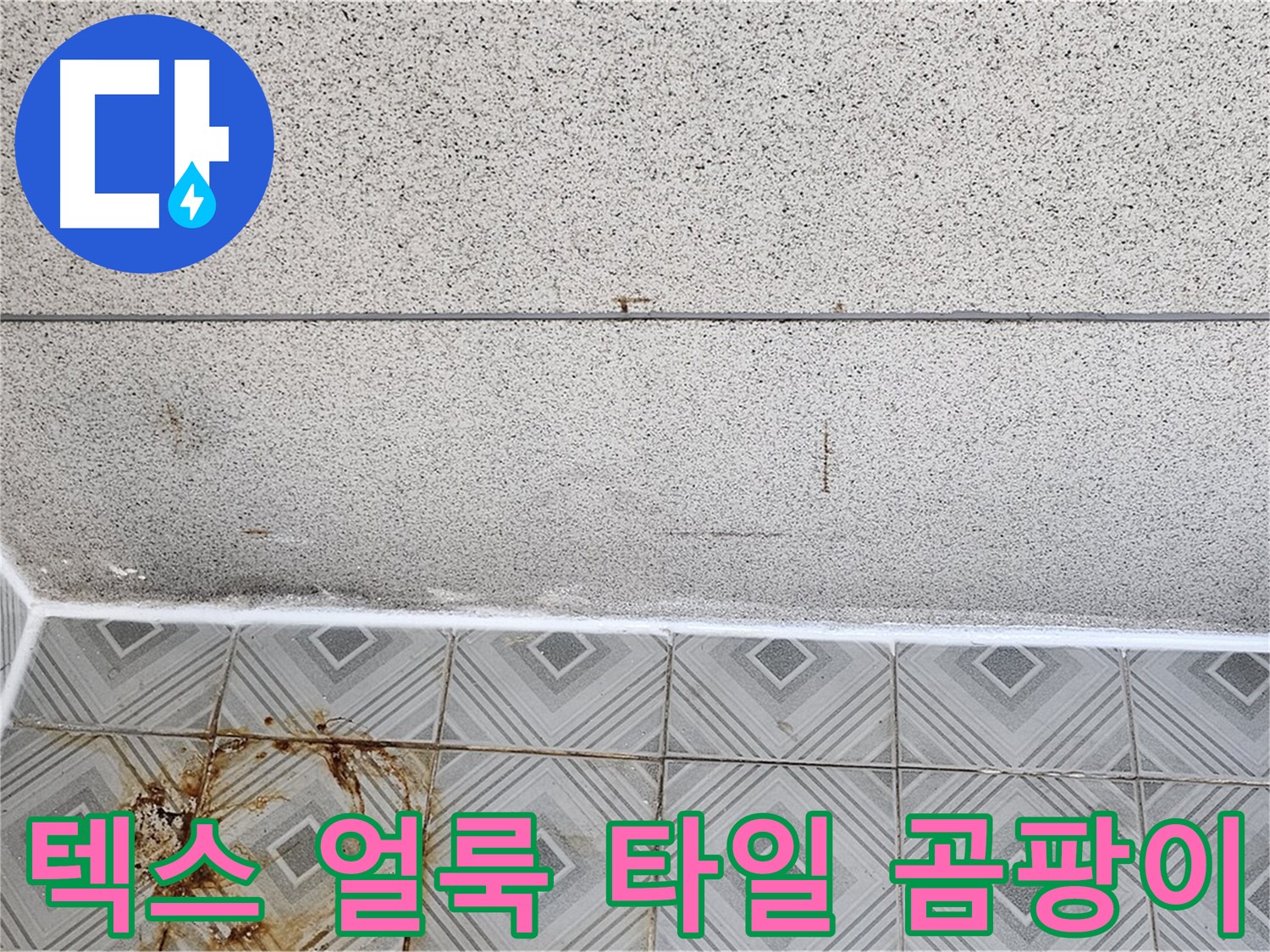 양천구 - 텍스 물 얼룩 - 타일 곰팡이 - 건강 위협