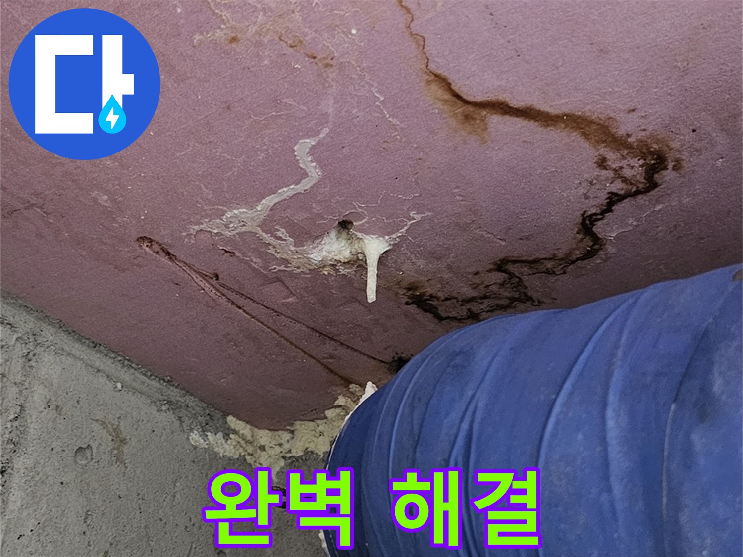 엘리시안 A동 곰팡이 - 누수 - 완벽 해결