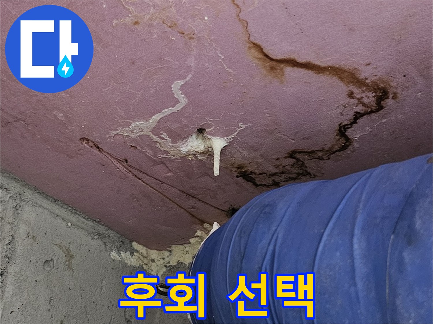 엘리시안 A동 곰팡이 - 누수 - 후회 선택