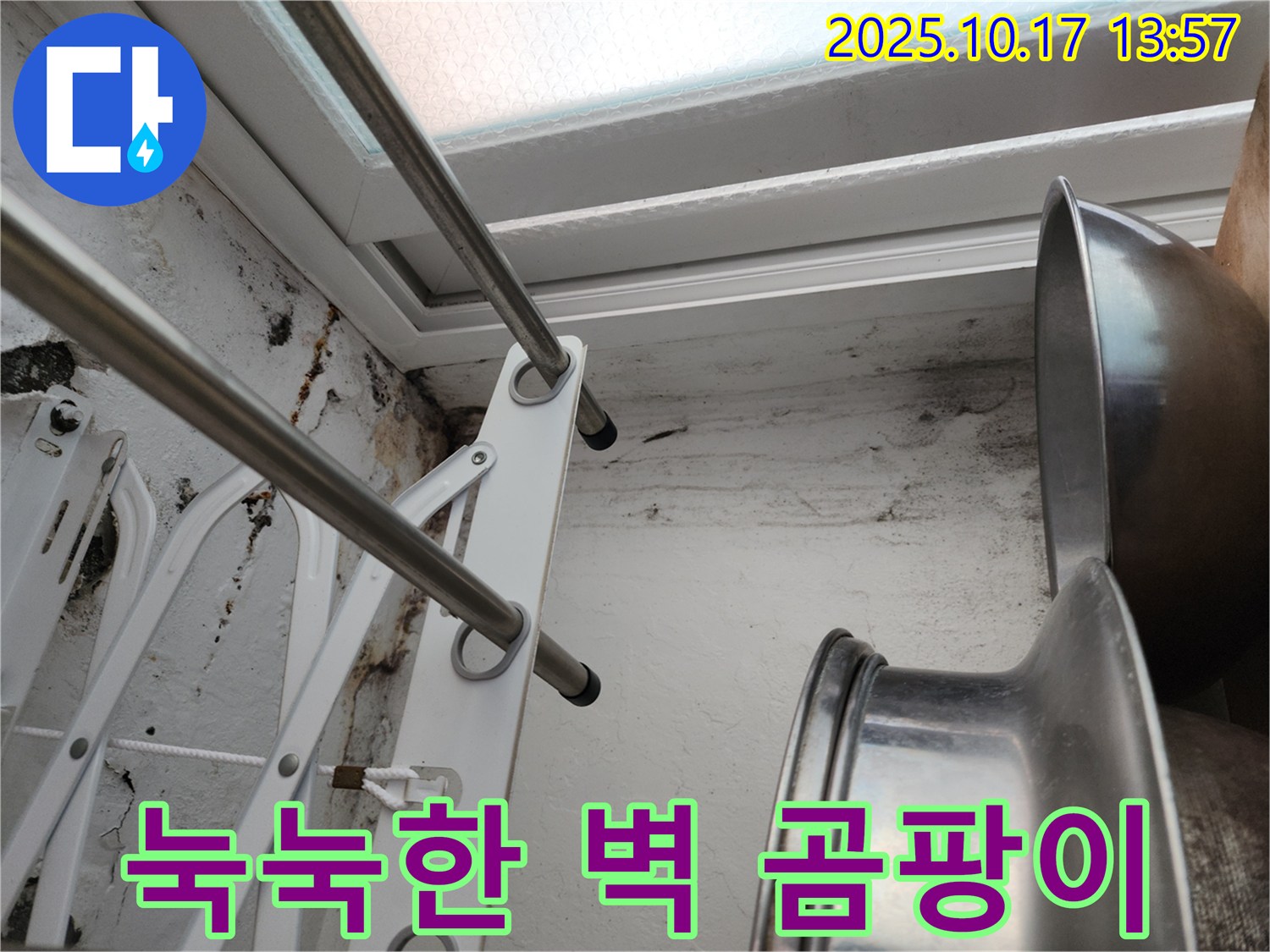 눅눅하게 젖은 벽에 핀 곰팡이-습기 문제의 심각성을 보여줍니다.