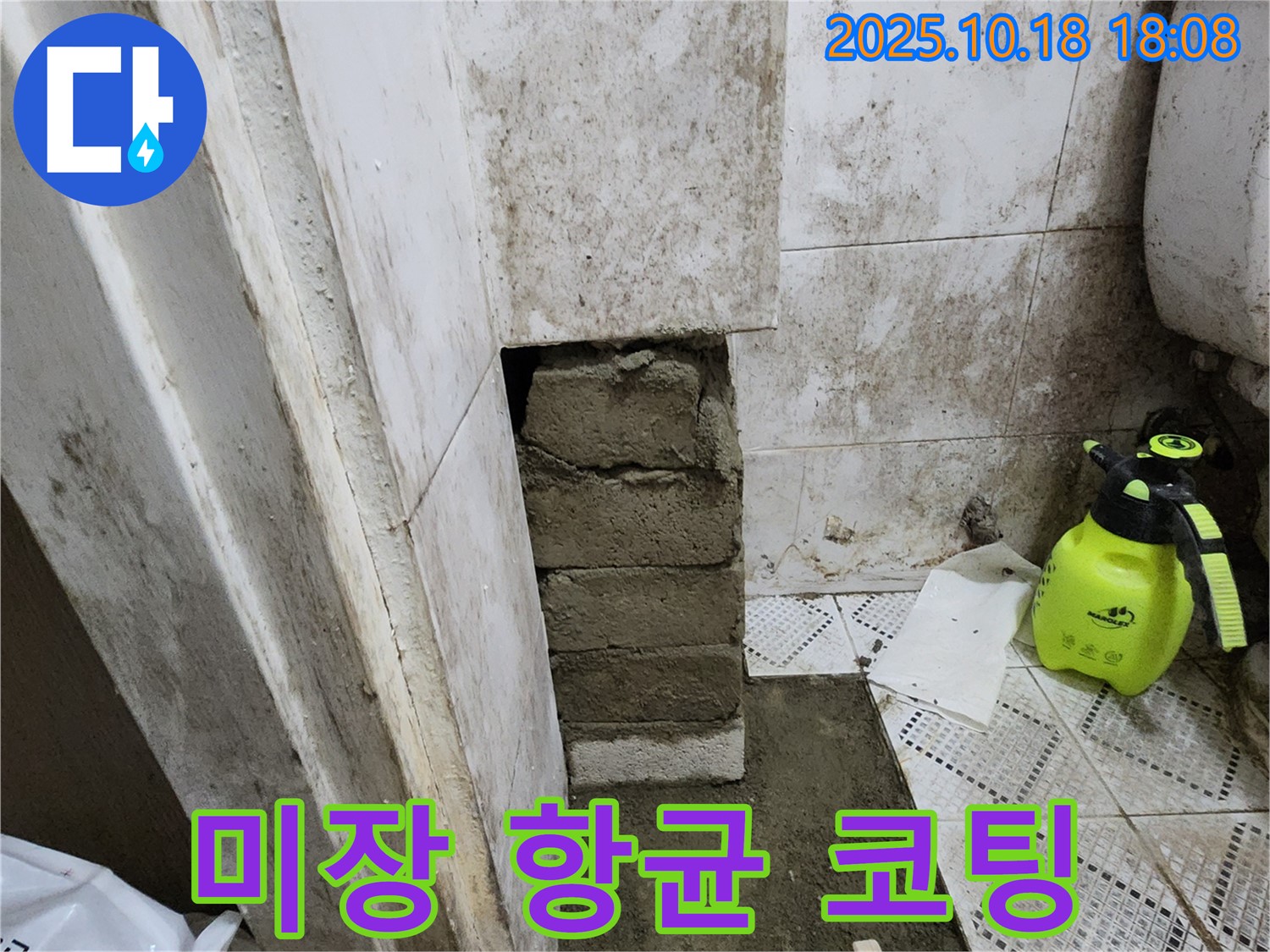 양주시 장흥면 욕실 벽 곰팡이 - 벽돌 미장 후 항균 코팅으로 곰팡이 재발 완벽 차단!