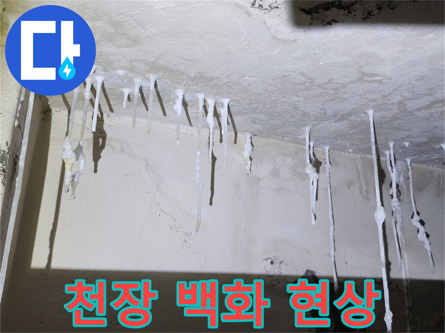 아래층 천장 슬래브를 타고 흘러내린 흰색 석회 고드름 현상