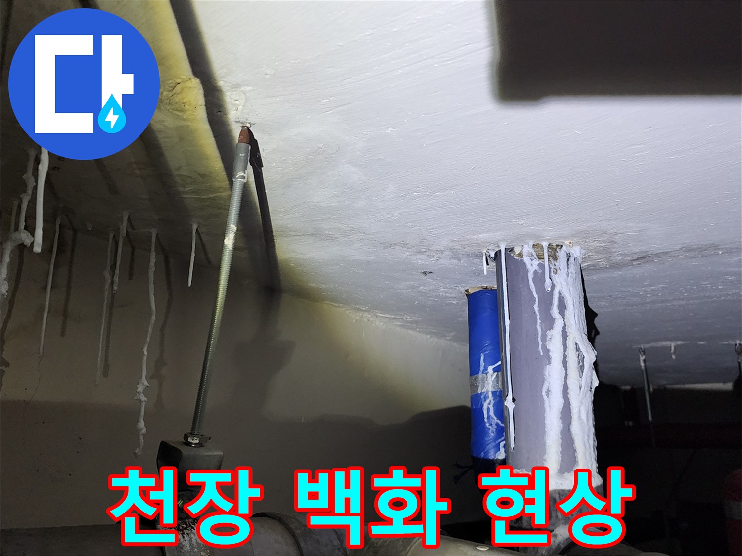 아래층 천장에 형성된-하얀색 석회 고드름과 물샘 흔적