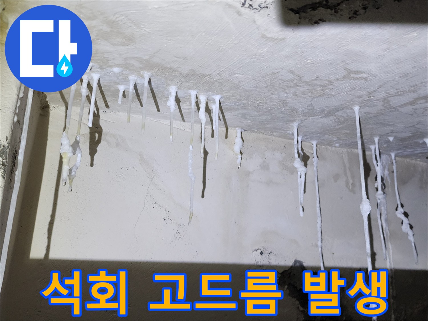 양주시 석현리 화장실-천장 백색 석회 침착 부위